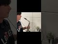 Continuation of the grand stay (グラン・ステイの続きを) Patrick Bartley Saxophone Solo