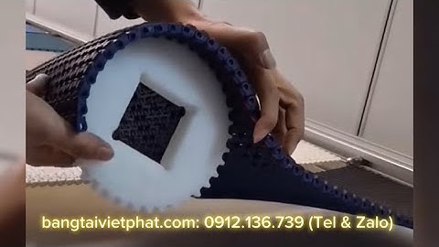 Băng Tải Nhựa TPHCM: linh kiện nhập, vật liệu PP & POM, ráp trong nước, giao hàng trong ngày, bh 24T