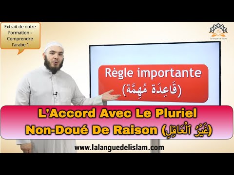 Règle De L&rsquo;Accord Avec Le Pluriel Non-Doué De Raison [Extrait n°38]