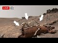 NASA Perseverance Rover Latest Images SOL 1828 | Mars hd video | Mars hd photos 