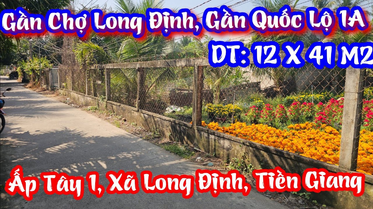 TẬP 4541:Đất Đẹp Gần Quốc Lộ 1A,Gần Chợ Long Định,Đường xe Ôtô(12x41?2)