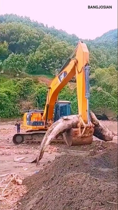 Lihat Operator Excavator Membawa Ikan Paus Besar Dari Laut Menggunakan Excavator‼️