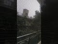 Heavy rain in bangalore