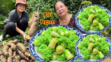 Như Ú Ra Vườn Đào khoai mì làm xôi sắn sâm dứa ăn cùng mẹ và sự cố không mong muốn| Huỳnh Như Vlogs
