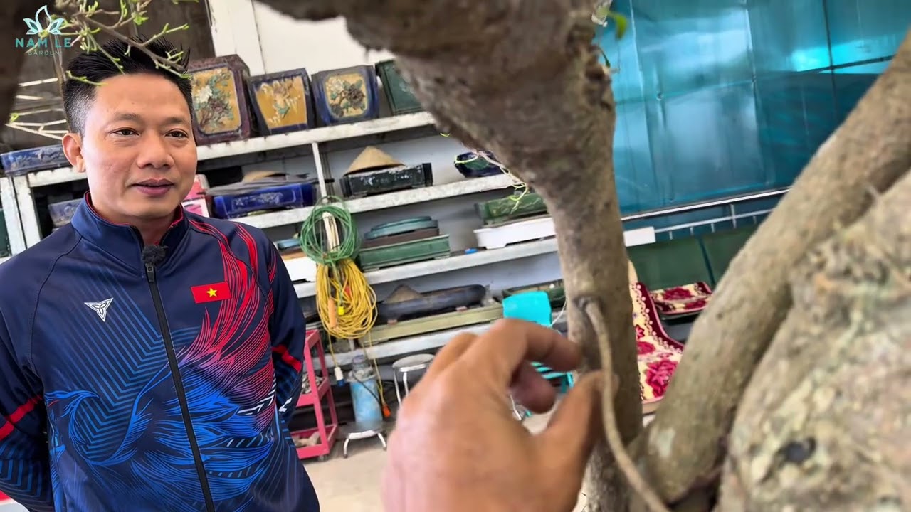 Sau Thời Gian Vắng Mặt, Nam Lê Đã Quay Trở Lại | Hiểu Đúng Làm Nhanh, Cây Lên Đẳng Cấp