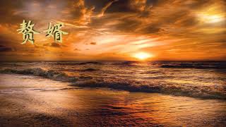 精品有声小说 《赘婿》(精品多人有声剧) 第 236-240 章
