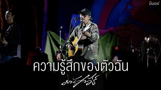 ความรู้สึกของตัวฉัน I หวังว่า - มนัสวีร์「 Live at อุดรโฟล์คแคมป์ 4」