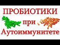ПРОБИОТИКИ при аутоиммунных заболеваниях