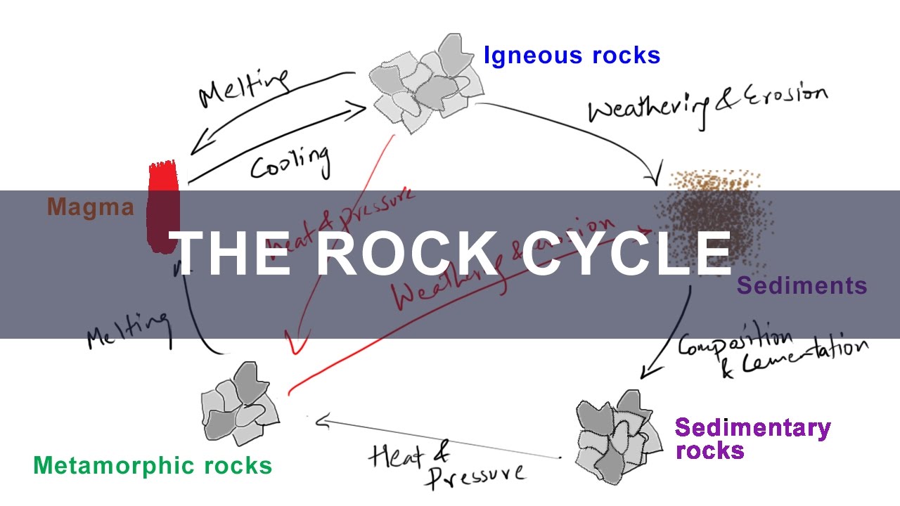 Rock Cycle Formation Of Igneous Metamorphic Sedimentary Rocks Geology Youtube