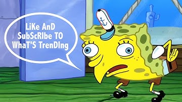 Mocking SpongeBob Meme EXPLAINED | What