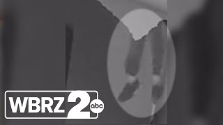 Caught on video: Teenage burglars broke into gun store, stole more than a dozen weapons