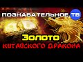 Золото китайского дракона (Познавательное ТВ, Валентин Катасонов)