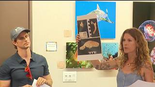 Sea lion abuse sparks debate over access to La Jolla Cove | NBC 7 San Diego