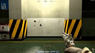[A.V.A] Alliance of Valiant Arms Python .357