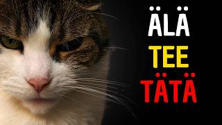 10 Asiaa, Joita Kissa Ei Ikinä Anna Anteeksi