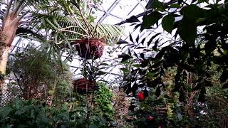 VID 20181230 122416444