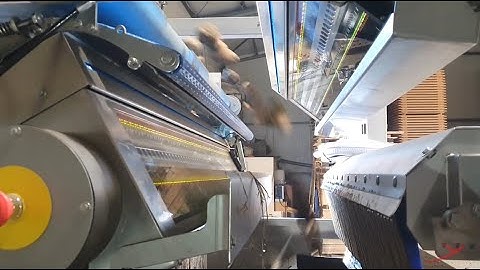 #Raynbow Applications Mix Sorting: Precision & Versatility | RAYTEC VISION SpA