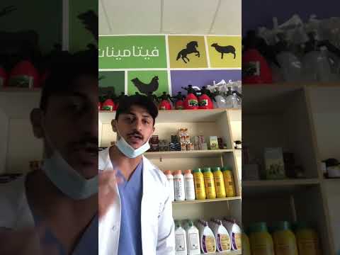 هل علاج الجرب الايفوماك امن على الحمل اللقاح معلومة مهمة