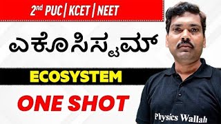 Chapter 14 | Ecosystem in ಕನ್ನಡ | Full Chapter in One Video | 2nd PUC /KCET/NEET