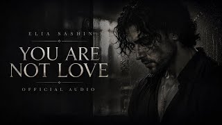 Elias Ashen — You Are Not Love |  Audio