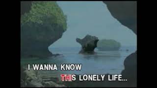 08 I Want To Know What Love Is  Sarah Geronimo