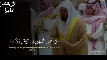 الشيخ ماهر المعيقلي تلاوات قصيرة مؤثرة استمع بقلبك/ حالات واتس اب