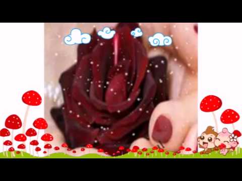 بحبك يا مصر