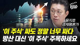 '이 주식' 싸도 정말 너무 싸다, 방산 대신 '이 주식' 주목하세요 (윤지호 경제평론가)