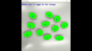 Use OpenCV to count eggs