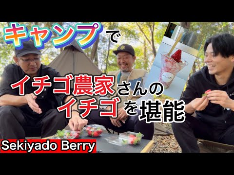 【SekiyadoBerry】キャンプ場で、SekiyadoBerryさんの苺を食べたらびっくりした【関宿ベリー】【ALOHA GLAMPING RESORT SAKAI】【1075】