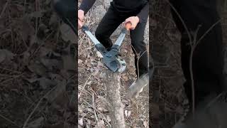 Sharp Cutter Used to Cut Wood 🔪🌲 #Woodworking #Carpentry #ToolUse