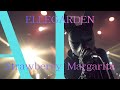 Strawberry Margarita / ELLEGARDEN 🦊 狐面の覆面海外バンドが 歌ってみた [AI Sing Cover kAthrsIs -カタルシス-]