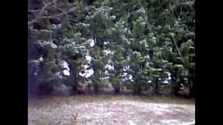 A snowy day in Morganton, North Carolina