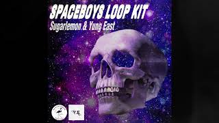 [FREE] Spaceboys Loop Kit / Melody and Sample Pack - Pvlace 808 Mafia, Travis Scott, Frank Dukes