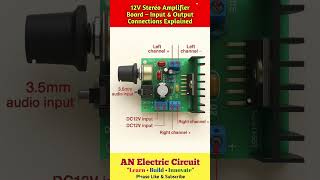 12V Stereo Amplifier Board – Input &amp; Output Connections Explained | #trending #viral #electrical