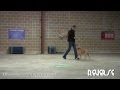 Cedar Park, Texas Dog Tricks - Unleashed Unlimited Cedar Park, Texas Dog Tricks - Unleashed Unlimited