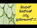 Health Benefits of Eating Cucumber | Health Tips In Telugu | Manandari H...