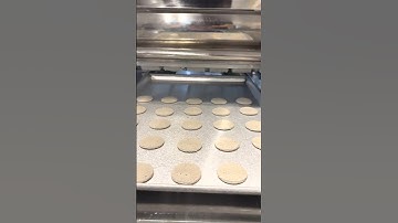 PAPER THIN COOKIES| DAILY BAKERY MACHINE VIDEOS #viralshorts #bakerybusiness #explore #subscribe