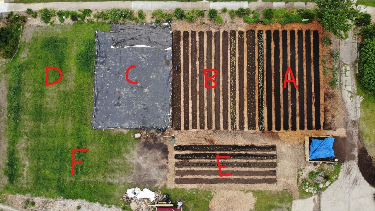 How Big Your Farm Should Be