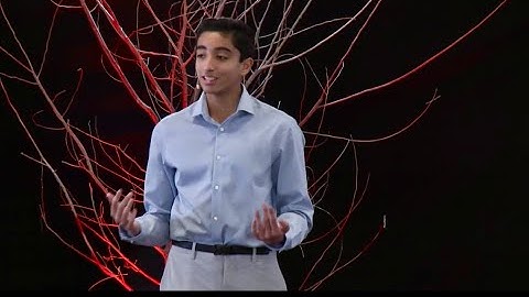 What’s Holding You Back from an Unlikely Friendship? | Dhilan Stanley | TEDxArlington Heights