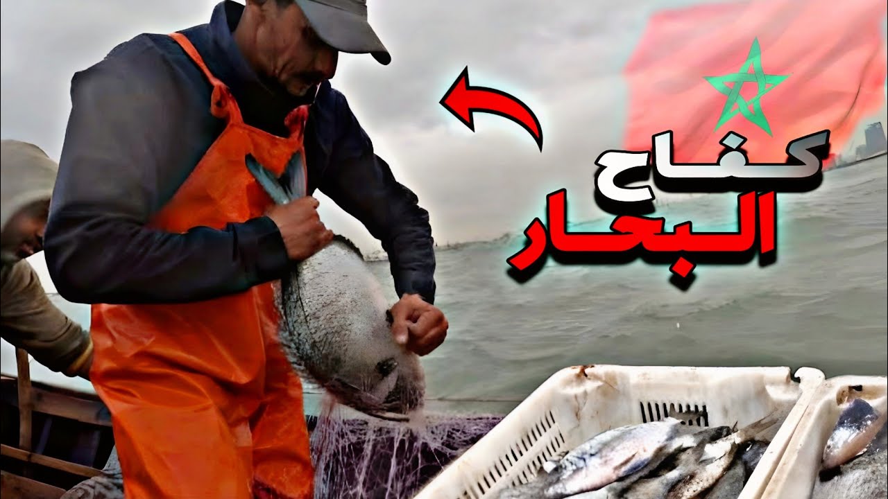 كفاح البحار: رحلة صيد الاسماك الشرغو 🐟وأنواع مختلفة وحصيلة رائع.