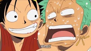 Luffy and Zoro dumb moment straight for 4 minutes part 1