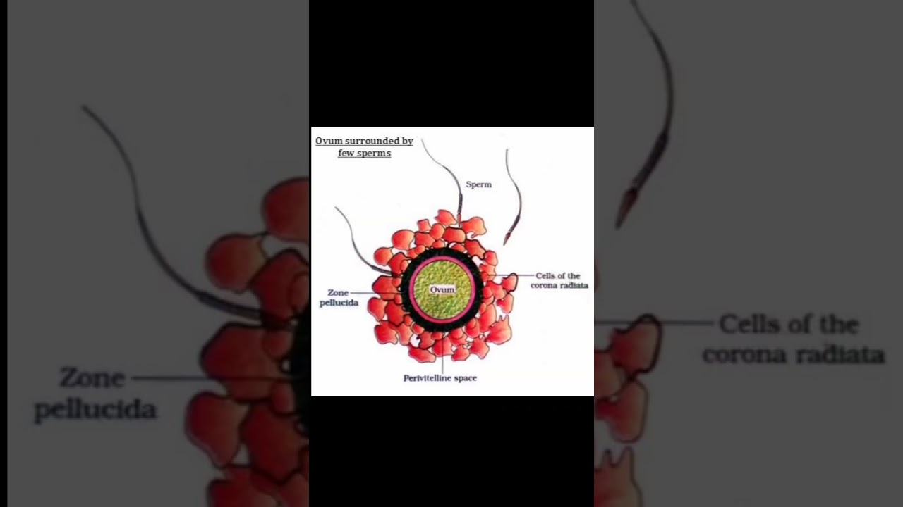 #mostimportanttopics