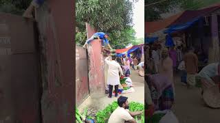 Lost All Of The Above.