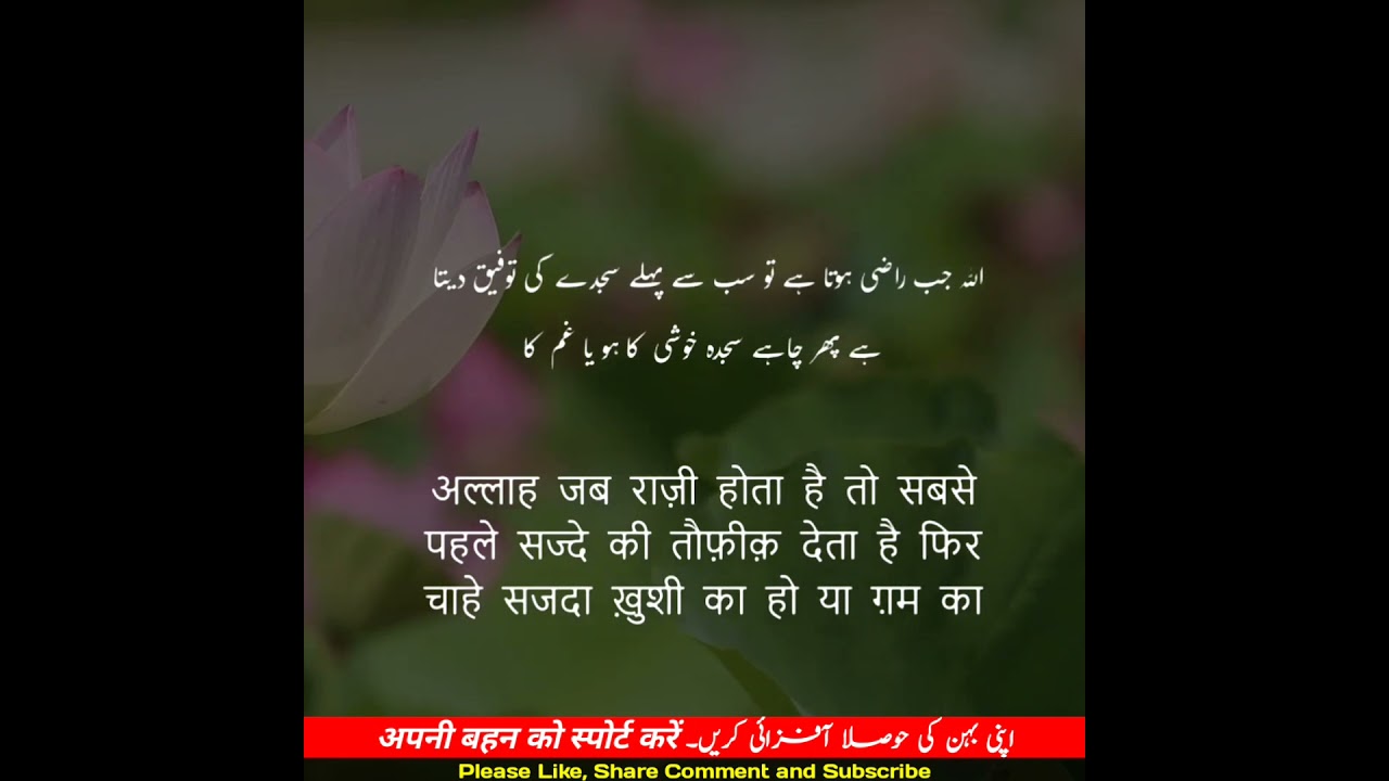 Heart Touching Urdu Quotes | Motivational Hindi Quotes | Urdu Quotes Status #shorts(5)