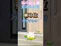 野良猫からのお土産/外猫からのプレゼントをランキングにしてみた #外猫の暮らし