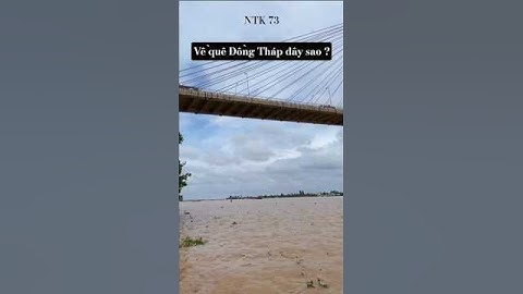 Cầu Rạch Miễu Đồng Tháp - Vĩnh Long ?