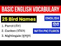 25 birds name in hindi and english  birds name      birds name in english