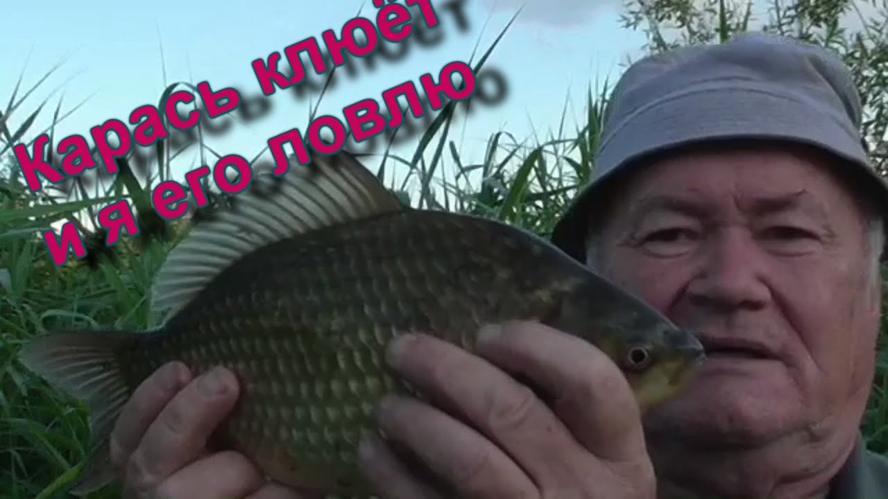 Карась в июле тоже клюёт! - YouTube