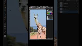 Combine Images - Hybrid Animal | Affinity Photo Tutorial screenshot 1